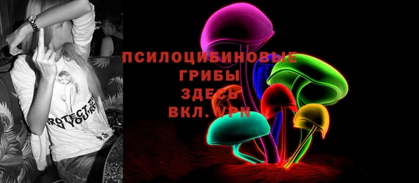 тгк Дмитриев