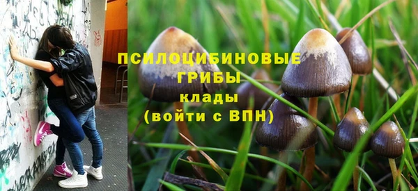 эйфоретик Горняк