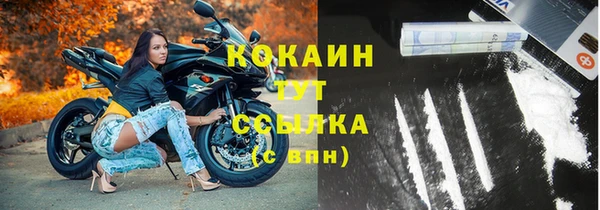 эйфоретик Горняк