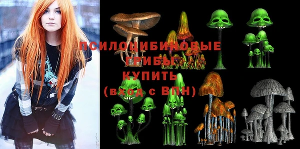 эйфоретик Горняк
