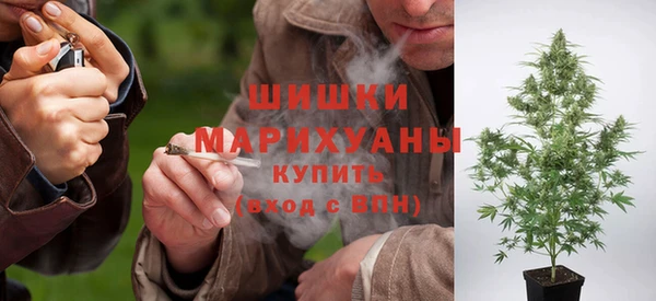 эйфоретик Горняк
