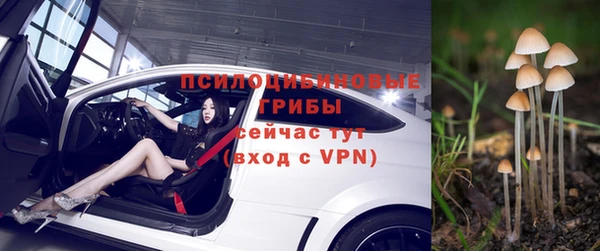 эйфоретик Горняк