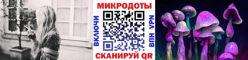 Псилоцибиновые грибы Psilocybe  мориарти телеграм  Городовиковск  купить наркотики сайты 